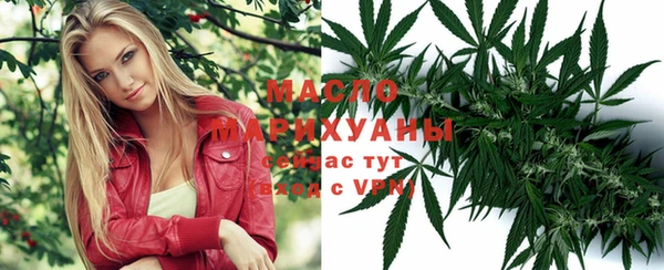 тгк Алексин