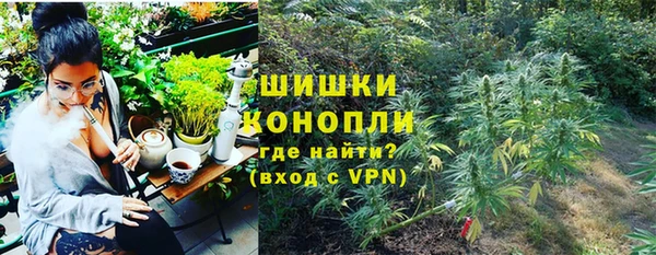 сатива Алзамай