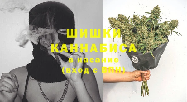сатива Алзамай