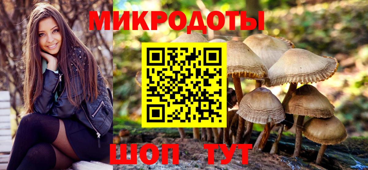 Галлюциногенные грибы мицелий Глазов