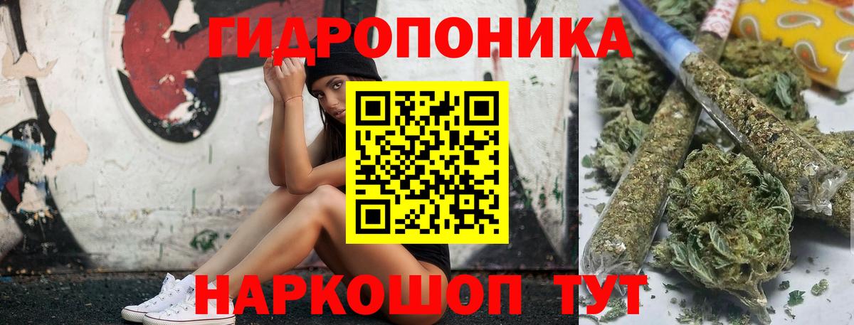 Конопля семена  Глазов  Конопля семена  Конопля семена  Конопля семена 